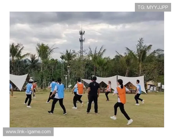 飞盘运动的魅力与挑战：南京飞盘队耐力训练全景探秘